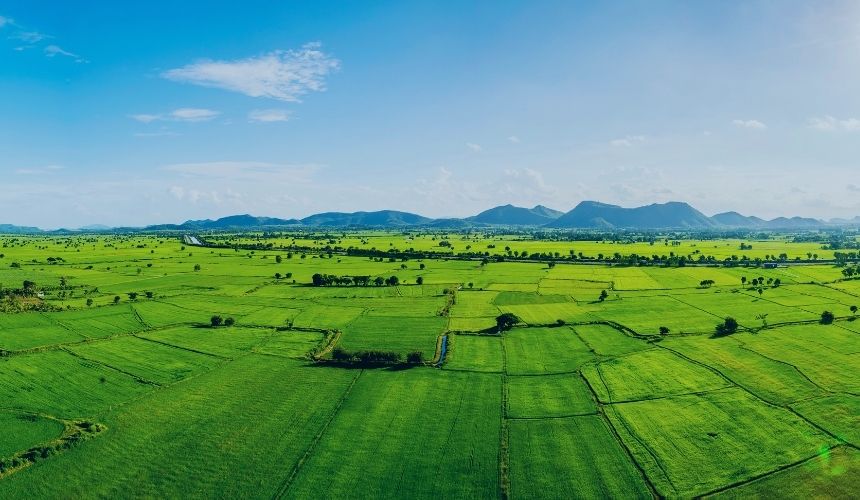 Balıkesir Körfez Bölgesi plankote hizmeti kapsamında arazi ölçüm ve kotlandırma çalışması